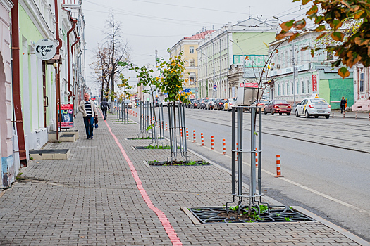 «Растения не способны к таким быстрым переменам»: пермские власти — о проблемах озеленения в Перми