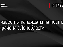 Стали известны кандидаты на пост глав в трех районах Ленобласти