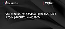 Стали известны кандидаты на пост глав в трех районах Ленобласти