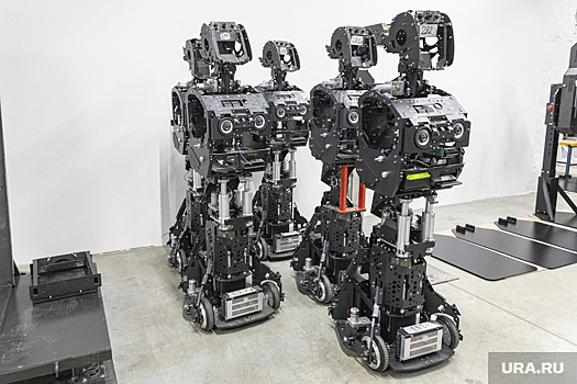 Шойгу сообщил о создании умных боевых роботов в России