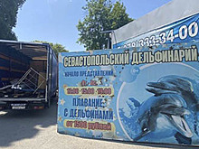 В Артиллерийской бухте Севастополя по решению суда начали демонтаж дельфинария