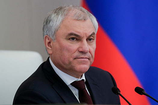Володин отчитался о борьбе с нелегальной миграцией: 15 законов против симптомов болезни