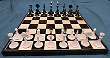 Участники летней смены в школе №222 Восточного Дегунина сразились в шахматы