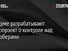 В Госдуме разрабатывают законопроект о контроле над квадроберами