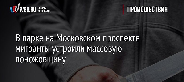 В парке на Московском проспекте мигранты устроили массовую поножовщину