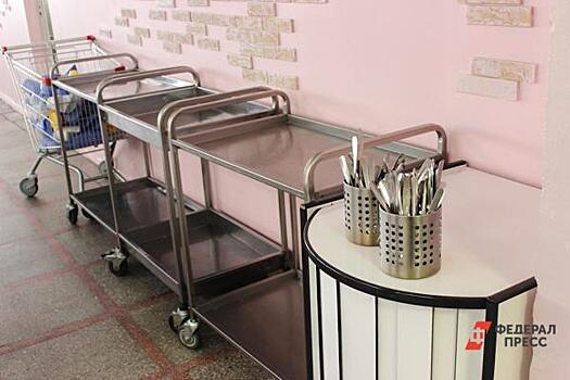 Димитровградских школьников из многодетных семей будут кормить бесплатно