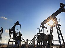 В Минфине не ожидают последствий для экономики в случае падения цен на нефть