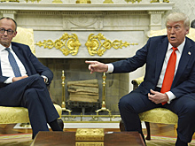 "Не сделали скандала": Трамп не стал ругаться с канцлером своей исторической родины
