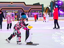 Город готовится к зиме: на площадках «Московских сезонов» зальют 26 катков