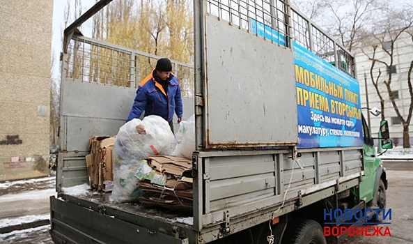 В Воронежской области нашли инвестора для мусоросортировочного завода