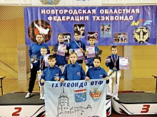 Выборжцы взяли три "золота" на межрегиональных соревнованиях по тхэквондо
