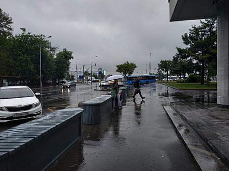Службы "Мосводостока" перешли на усиленный режим работы из-за дождя