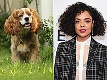 Disney представила актерский состав ремейка "Леди и Бродяга"