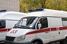 На трассе Ярославль-Тутаев водитель насмерть сбил 63-летнего мужчину