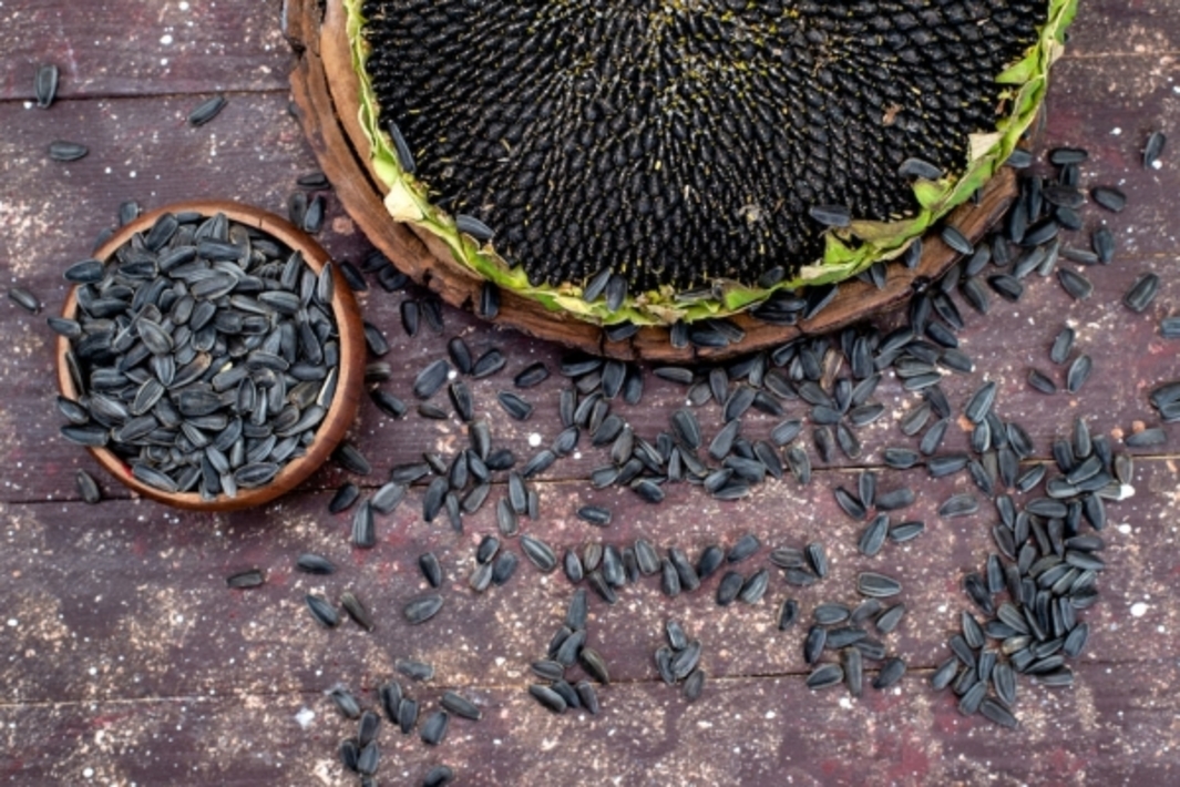 витамины в семечках подсолнуха. семянка подсолнуха. семечки при сахарном диабете. презентация на тему подсолнух. семена подсолнух биология.