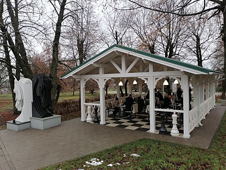 В Курске планируют устанавливать уличные площадки для игры в шахматы