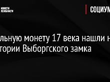 Уникальную монету 17 века нашли на территории Выборгского замка