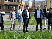 В Чебоксарах появится еще одна площадка для выгула собак