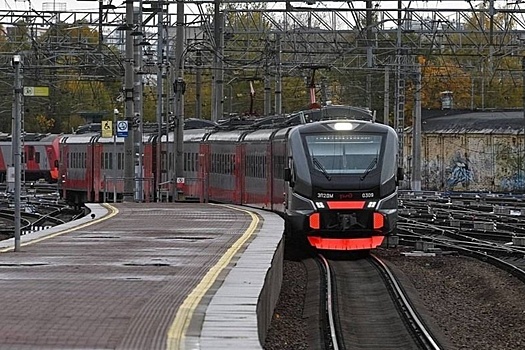 Петербуржцы предложили назвать новую электричку до Сестрорецка «Сестрик»