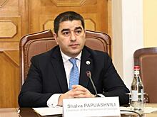 Грузия отправила на Украину парламентскую делегацию