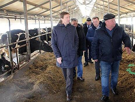 Вице-спикер областного парламента познакомился с крестьянско-фермерским хозяйством в Исаклинском районе