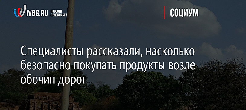 Специалисты рассказали, насколько безопасно покупать продукты возле обочин дорог