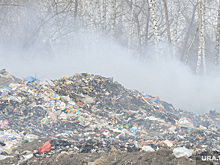 Экоактивист усомнился в законности свалки, горящей в Лабытнанги