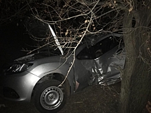 Ночью легковушка влетела в дерево. Погиб мужчина