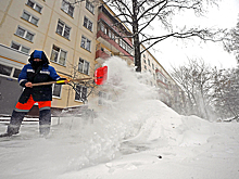 Месячная норма осадков выпала в Москве за две недели января