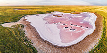 «Точка на карте»: розовое озеро, цветение лотосов и пеликаны в республике Калмыкия. ФОТО