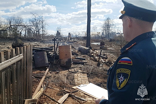 Виновниками крупных пожаров в Приангарье могли стать поджигатели сухой травы