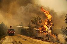 Оценена опасность лесных пожаров для отдыхающих в Турции россиян