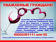 В Тамбовской области проведут массовые проверки водителей на состояние опьянения