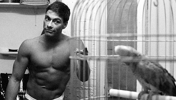 Мужчины с голым торсом на аватарке: что это говорит о человеке