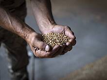 Турция начала работу по возобновлению зерновой сделки