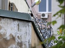 Жили по поддельным паспортам и надеялись на тихую старость: как закончилось дело «банды Леса»