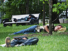 Число петербургских бомжей выросло на треть за год