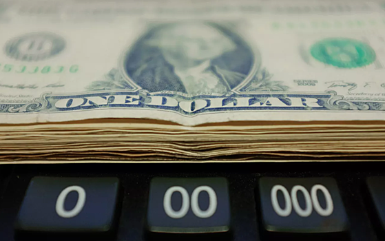 Доллару предрекли сильнейшее падение к мировым валютам