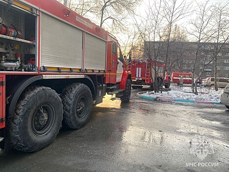 В Новосибирской области при пожарах за неделю погибли два человека