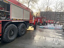 В Новосибирской области при пожарах за неделю погибли два человека