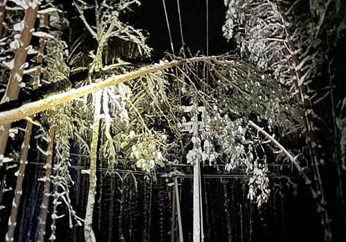 Права жителей Владимирской области, лишившихся электричества, защитит прокуратура