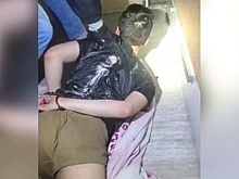 Жителя Удмуртии заподозрили в подготовке теракта в учебном заведении
