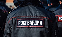 В Волгограде росгвардейцы задержали пятерых нарушителей правопорядка