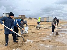 В ликвидации экологической катастрофы на Кубани участвуют почти 600 волонтеров