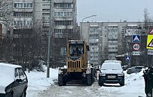 Названы компании, которые почистят «белые пятна» Петрозаводска