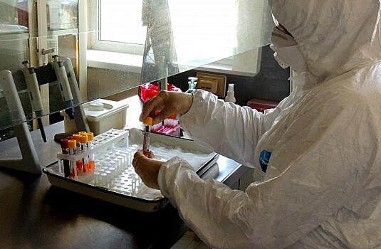 Названы медучреждения Владивостока, где можно бесплатно обследоваться на коронавирус