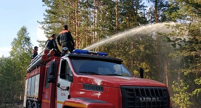 Лесной пожар под Костромой тушили больше 6 часов