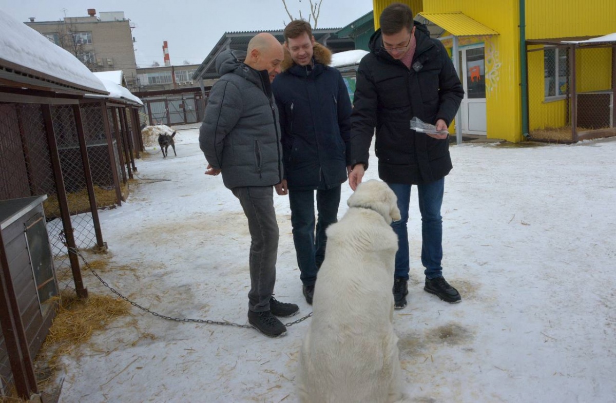«Самовыгул» животных предложено запретить в Нижнем Новгороде