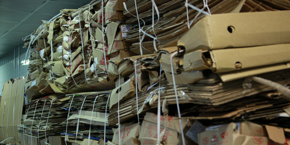 Итоги «Бумбатла»: самых активных участников акции по сбору макулатуры наградили