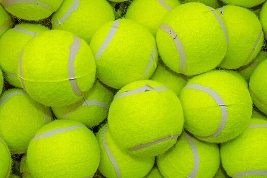 Теннисистка Звонарева: никаких целей перед собой не ставлю